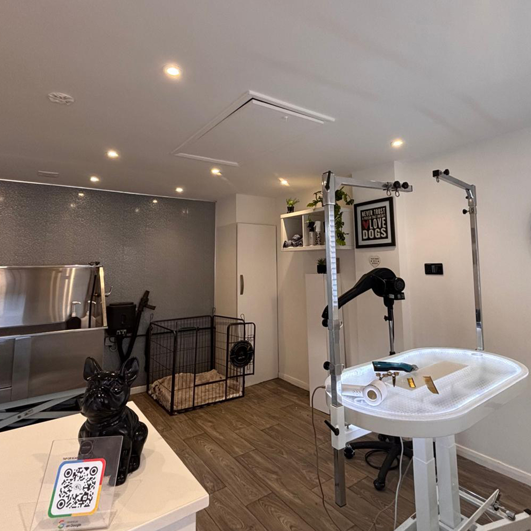 The Posh Pooches grooming room with a lit grooming table, washer and wall cabinets